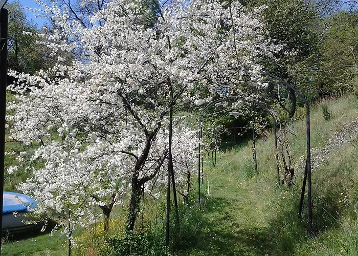 Adelaide Bed and Breakfast *