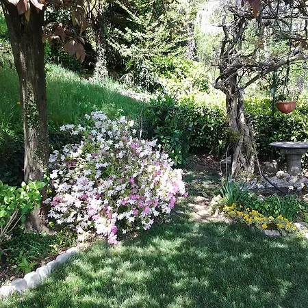 فندق مبيت وإفطار Adelaide *