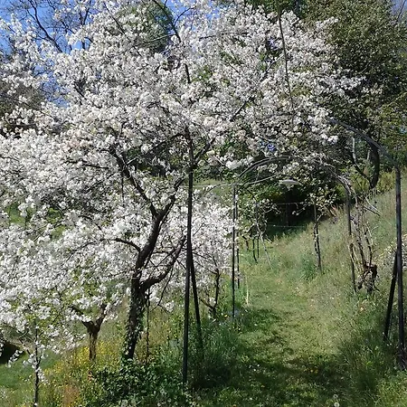 Adelaide Couette-café *